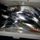 개도민박 이미지