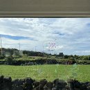 김군 524게스트하우스 이미지