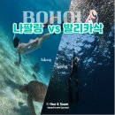 (주)휴앤아이 | [보홀 스노클링] 나팔링 정어리떼 vs 발리카삭 거북이, 솔직 비교 분석