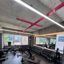 24시 카멜짐 동천 헬스 pt 이미지