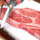 목우촌웰빙마을 이미지