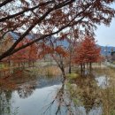 여주 멍스타 이미지