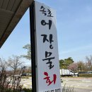 속초어장물회 | [속초] 어장물회 내돈내산 후기🐟 속초 필수 맛집!