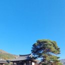 (주)경일항공여행사 이미지