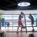 코리안복싱센터 이미지