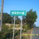 말희네 이미지