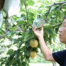 미리내농장 이미지