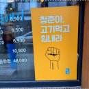 춘춘갈매기