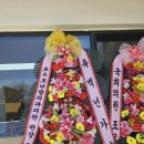 조앤조연합치과의원 이미지