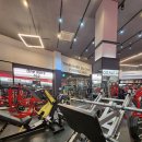 에스휘트니스 이미지