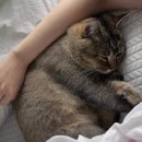 홍성고기마을 이미지