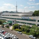 “달콤한 보랏빛 매력 속으로”… 2026 영동포도축제, 8월 27일 화려한 개막 이미지