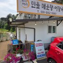 강변민물매운탕 | 🍲 자연이랑 국물이랑 둘 다 최고!경기 가평 가시머리민물매운탕 솔직 후기