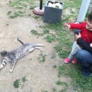 예술갈비 이미지