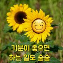 국장님 이미지