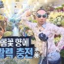 웁스(OOPS) | 🎀잘산템) Oops웁스디퓨져-브리지 가든 , 리필포함 구매후기 향후기