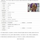 홍익동물병원 네이버블로그