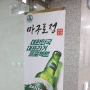 세종참치