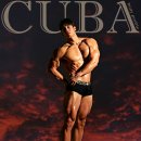 SUIT GYM(수트짐) 이미지