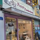 퍼피파우더룸 이미지