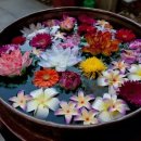 소나무 철물점 이미지