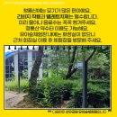 청룡산체육관