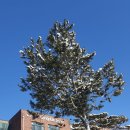 창덕여자고등학교 이미지