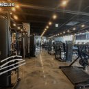 더블비휘트니스 이미지