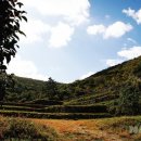 용장산성 이미지