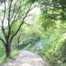 구덕운동장 입구 이미지