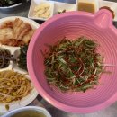 [청주성안길] 청주시오야끼맛집 &#39;노릇집 청주성안길본점&#39; 솔직 후기