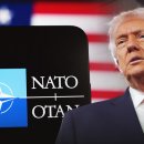 RT기사, 트럼프, 우크라이나 사태 관련 나토 탈퇴 신청 이미지