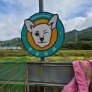 아이스홀릭 정관점