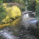 천안천9길 이미지