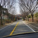 마이티 유도 체육관 대야점 | 2018 제19차 청소년지도사 보수교육 참석 후기^^