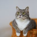 주안동 435 이미지
