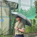 G6306 | 남성 휴대용 3단 우산 고티바쉬 태풍 차단 양우산
