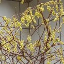 아차산 동행숲길 | 26.3.30(월) 아차산 동행숲길 다녀오다