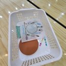 선사랑 놀자 이미지