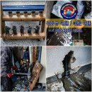 해오름아파트 앞 사거리-2 이미지