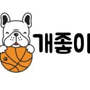 댕꼬미다 이미지