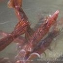 너 나 그리고 우리 이미지