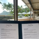 캣츠아일랜드 | 해밀턴아일랜드 비치클럽 2박 후기 -프라이빗함의 끝판왕 (비용과 꿀팁)