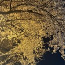 도림천 산책로4 이미지