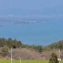 우리사슴목장 | 국내여행, 남해여행 [남해상상양떼목장 편백숲] 포토스팟