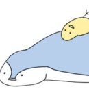 아띠아띠 이미지