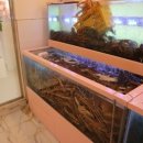 주식회사 킹크랩대게전문점 이미지