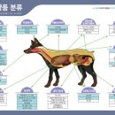 테라스약국 이미지