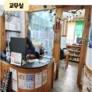 새들유치원 이미지