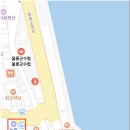 울릉렌트카저동지점